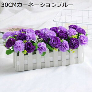  CeA S J[l[V ݑ ~m z e [J o^Cf[ ̓ j a LO NX}X ޏւ̑蕨 bh