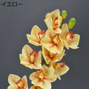 ͂Ȃ    110{ nNN ̓Mtg LO  { sv  t[ 뉀 Ԍ|p v[g  iX ԑ VN