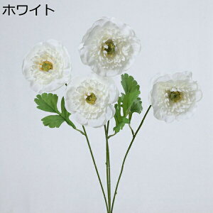  ͂Ȃ   J[l[V ̓Mtg LO  { sv  t[ 뉀 Ԍ|p v[g  iX ԑ VN