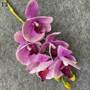   { ͂Ȃ  CeA ʐ^Be j v[g  iX   sv  Ԍ|p DIY k lHϗtA  Ӓ 1