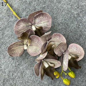   { ͂Ȃ  CeA ʐ^Be j v[g  iX   sv  Ԍ|p DIY k lHϗtA  Ӓ 1