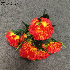 ̓Mtg J[l[V ԑ ~ju[P 16{  sv ͂Ȃ Ԍ|p 뉀  iX ʐ^Be k DIY  hCt[ 