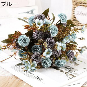 ~ju[P ԑ ͂Ȃ CbN  1Zbg  Ԍ|p j v[g  ʐ^Be LO ̓ }`bN  VN  { u[P 