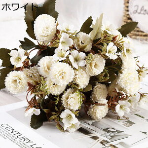 ~ju[P ԑ ͂Ȃ CbN  1Zbg  Ԍ|p j v[g  ʐ^Be LO ̓ }`bN  VN  { u[P 