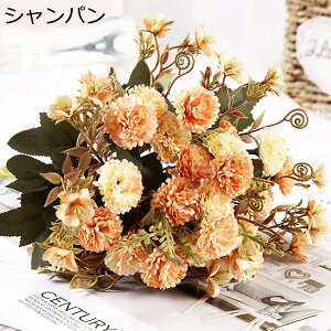 ~ju[P ԑ ͂Ȃ CbN  1Zbg  Ԍ|p j v[g  ʐ^Be LO ̓ }`bN  VN  { u[P 