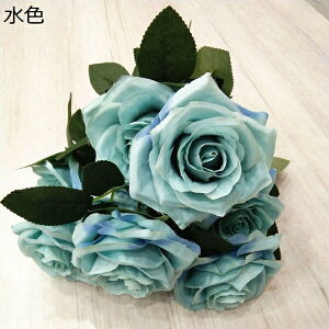  CeA t`[Y ͂Ȃ v[g j  a ̓ o^Cf[ ]  v|[Y ƒ   u[P ԑ O iLX