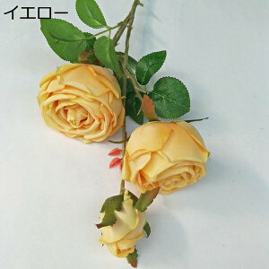 [Y  ͂Ȃ CeA A[gt[ ԑ v[g 蕨 JXj a  EFfBO  Be p z[ 뉀 sv   13{ k DIY