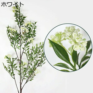 lHϗtA ͂Ȃ   {   CeA Ԍ|p  ʐ^Be j iX 뉀 p k v[g sv  ~ju[P zCg 