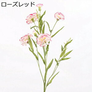  ͂Ȃ   J[l[V ̓Mtg LO  { sv  t[ 뉀 Ԍ|p v[g  iX ԑ VN