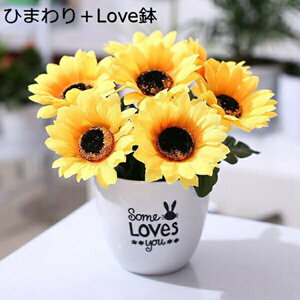  CeA 傫ȐԎ J[l[V ze e Ђ܂ AWTC ϗtA t[Mtg o^Cf[ ̓ j a LO NX}X ޏւ̑蕨