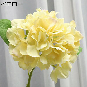 VN AWTC ͂Ȃ u[P { sv  iX p Ԍ|p  ʐ^Be LO CeA   ԑ