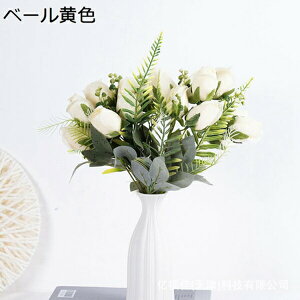  CeA [Y A[gt[ ԑ x闖 5{ t[ v[g Mtg 蕨 JXj a    EFfBO u[P   Be p z[ 뉀 