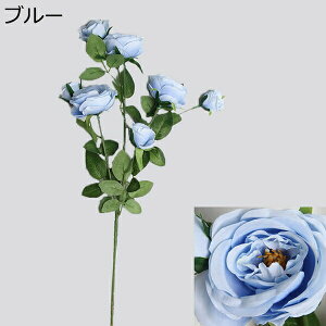  o ͂Ȃ CeA A[gt[ ~ju[P k v[g 蕨 JXj a  EFfBO u[P  Be p z[ 뉀 sv   1