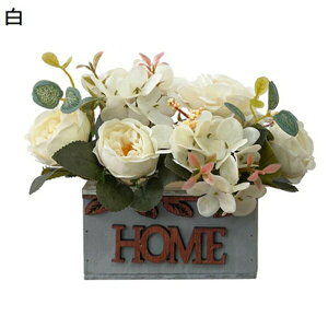  CeA zԉO t[ ԏ u[P rO K[fjO Q  ItBX   Mtg a p[