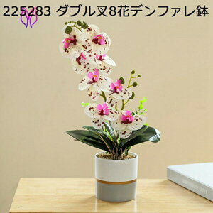  CeA A[gt[ ԑ x闖 5{ t[ v[g Mtg 蕨 JXj a    EFfBO u[P   Be p z[ 뉀 Lb`