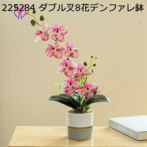  CeA A[gt[ ԑ x闖 5{ t[ v[g Mtg 蕨 JXj a    EFfBO u[P   Be p z[ 뉀 Lb`