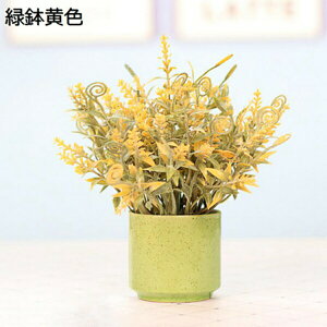  CeA ݑ ͂Ȃ  ԑ ϗtA t[Mtg o^Cf[ ̓ j a LO NX}X ޏւ̑蕨 bh