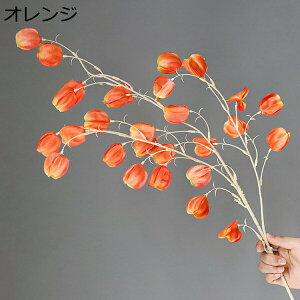 ĉʁ@ԁ@1{@ԕrȂ@{@G}@@sv@͂Ȃԁ@u[P@fR[V@CeA@Lb`@֏@ItBX@iX@pف@Be@