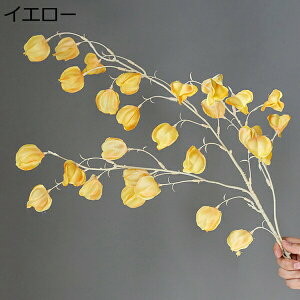 ĉʁ@ԁ@1{@ԕrȂ@{@G}@@sv@͂Ȃԁ@u[P@fR[V@CeA@Lb`@֏@ItBX@iX@pف@Be@