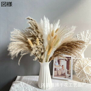  CeA A[gt[ ԑ x闖 5{ t[ v[g Mtg 蕨 JXj a    EFfBO u[P   Be p z[ 뉀 Lb`