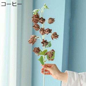 1{@ԁ@{@@ԕrȂ@ins@fR[V@G}@sv@͂Ȃ@t[@u[P@DIY@Be@p[eB[@EFfBO@CeA@I