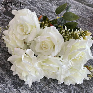 o ԑ ͂Ȃ coL 214{  Ԍ|p j v[g  ʐ^Be LO ̓ }`bN   sv { u[P  F 