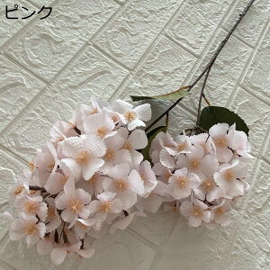 VN 1 AWTC ͂Ȃ {  DIY iX  JXj ʐ^Be Ԍ|p j v[g ̓Mtg  ԑ VN lHϗtA