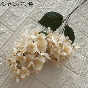 VN 1 AWTC ͂Ȃ {  DIY iX  JXj ʐ^Be Ԍ|p j v[g ̓Mtg  ԑ VN lHϗtA