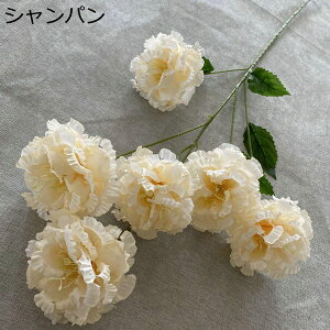 ԑ ͂Ȃ 61Zbg  Ԍ|p j v[g  ʐ^Be LO ̓ }`bN {  VN  { u[P  F 