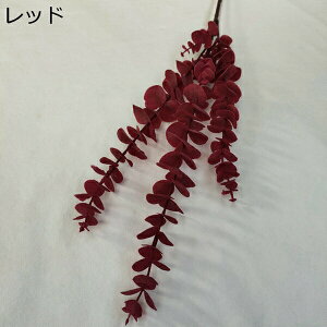  [J ͂Ȃ  INS k DIY  iX p  ʐ^Be 뉀 Ԍ|p ͂Ȃ sv  ~ju[P lHϗtA