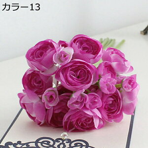 ԑ ͂Ȃ coL 241Zbg  Ԍ|p j v[g  ʐ^Be LO ̓ }`bN  VN  { u[P  F