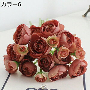 ԑ ͂Ȃ coL 241Zbg  Ԍ|p j v[g  ʐ^Be LO ̓ }`bN  VN  { u[P  F