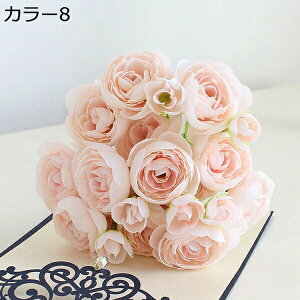 ԑ ͂Ȃ coL 241Zbg  Ԍ|p j v[g  ʐ^Be LO ̓ }`bN  VN  { u[P  F