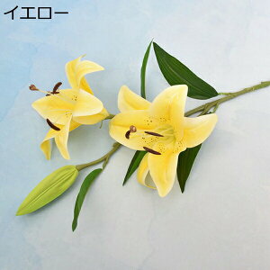   ͂Ȃ {   ̓Mtg LO  { sv  t[ 뉀 Ԍ|p v[g  iX ԑ VN