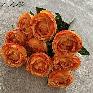 coL ԑ ͂Ȃ 218{  Ԍ|p j v[g  ʐ^Be p LO ̓Mtg }`bN  VN  { u[P  F