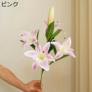 ͂Ȃ {    5 1 ꂢ  iX ʐ^Be p  ̓Mtg  ԑ t[ u[P sv  