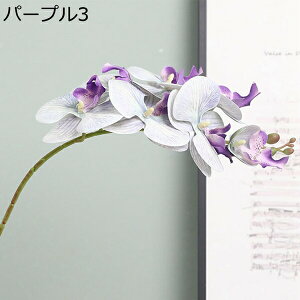 ԑ 3Zbg ͂Ȃ Ӓ Ԍ|p j v[g  ʐ^Be LO ̓ }`bN  VN  { u[P  F k DIY