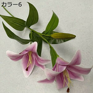 ͂Ȃ  1   Ԍ|p j v[g  ʐ^Be LO ̓ 뉀 p }`bN  VN  sv { u[P  k