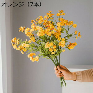 e@ԁ@{@@sv@͂Ȃԁ@fR[V@CeA@֏@ItBX@iX@pف@Be@DIY@v[g@u[P@A[gt[@f