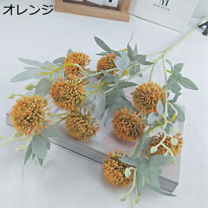  ԑ ^|| 110 lHϗtA Ԃ݂ DIY Iȉ  ʐ^Be 蕨 JXj a    z[ ItBX   ͂Ȃ