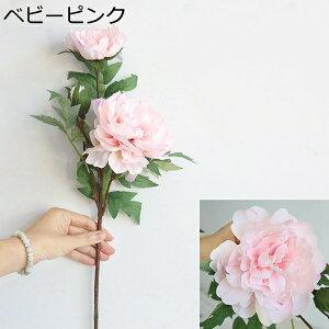 3{@{^@ԁ@{@G}@@sv@͂Ȃԁ@fR[V@CeA@֏@ItBX@iX@pف@A[gt[@v[g@