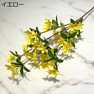 1{@ԁ@{@f[W[@e@ԕrȂ@fR[V@G}@sv@͂Ȃ@t[@u[P@DIY@Be@p[eB[@EFfBO@CeA@I