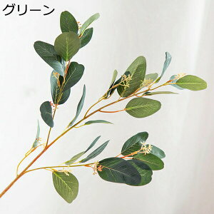 ԁ@A[gt[@1{@[J@{@@sv@͂Ȃԁ@u[P@k@fR[V@CeA@Lb`@֏@ItBX@iX@p