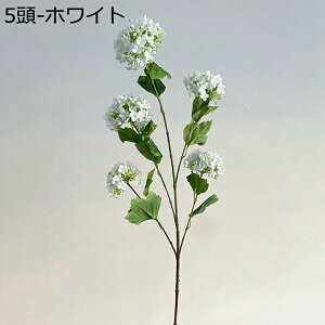 ԑ  Ԃ̉ԑ AWTC lHϗtA ̓Mtg CeA u[P ͂Ȃ  VN JXj 뉀 Ԍ|p  ʐ^Be j v[g CeA 