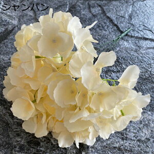 AWTC ͂Ȃ  1 DIY k  Ԍ|p j v[g  ʐ^Be LO ̓ }`bN VN sv  { u[P  F 