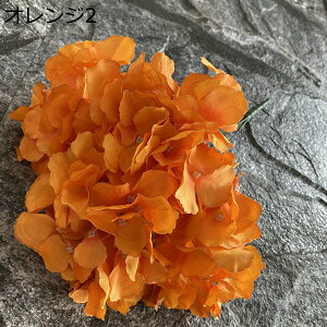 AWTC ͂Ȃ  1 DIY k  Ԍ|p j v[g  ʐ^Be LO ̓ }`bN VN sv  { u[P  F 