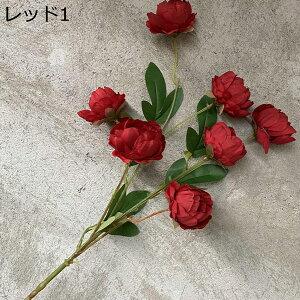 {^ ͂Ȃ    17{ ̓Mtg LO  { sv  t[  뉀 Ԍ|p v[g  iX ~ju[P VN