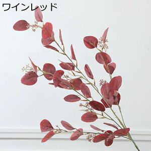 [J@ԁ@1{@ԕrȂ@{@G}@@sv@͂Ȃԁ@u[P@fR[V@CeA@Lb`@֏@ItBX@iX@pف@Be