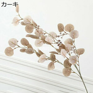 [J@ԁ@1{@ԕrȂ@{@G}@@sv@͂Ȃԁ@u[P@fR[V@CeA@Lb`@֏@ItBX@iX@pف@Be