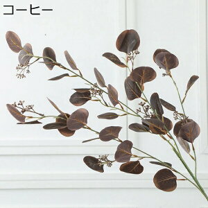 [J@ԁ@1{@ԕrȂ@{@G}@@sv@͂Ȃԁ@u[P@fR[V@CeA@Lb`@֏@ItBX@iX@pف@Be